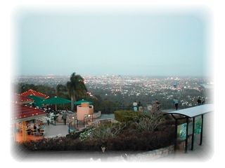 Picture of the Brisbane city from Mt. Coot-tha.
