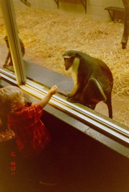 Harry @ Edinburgh Zoo