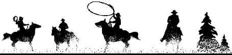 cowboy image