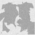 C-glava-logo.jpg (5296 bytes)