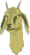Talking Goat