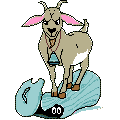 Playful Goat