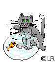 Cat In A Fishbowl