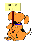 Dogs Rule