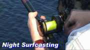 Surfcasting DivX or MOV video to Download