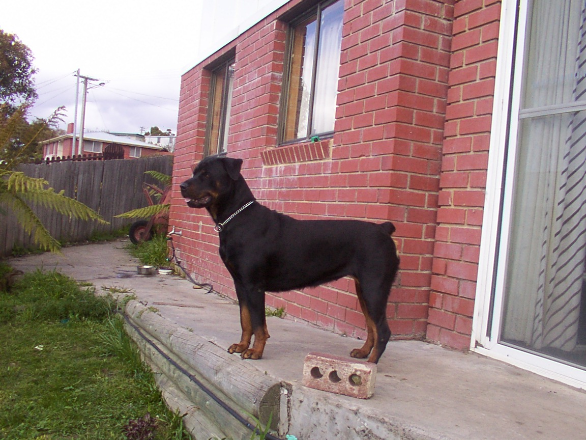 Cheykayne October 2003
