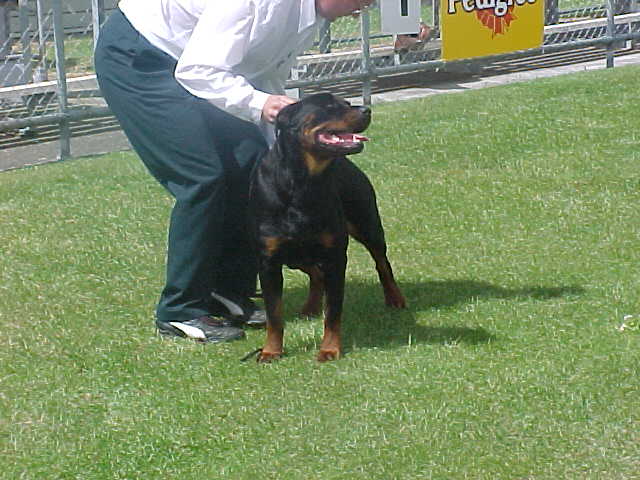 Royal Hobart 2001 ~ Cheykayne