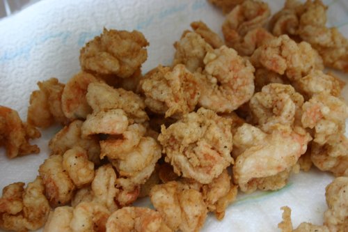 shrimp2