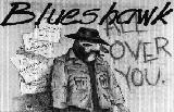 Blues Hawk