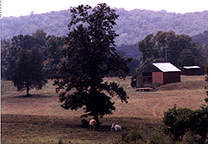 field