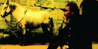 TST cover