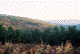 landscape 5