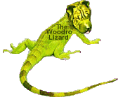 Woodro Lizard