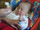 thumbs/FirstFood3.png