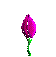 flower2a.gif (10199 bytes)
