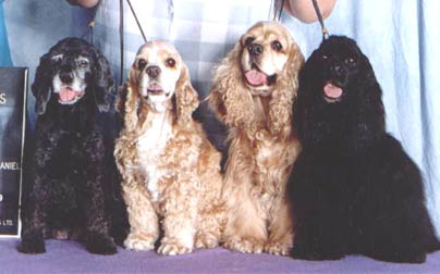 4gen.jpg (27924 bytes)
