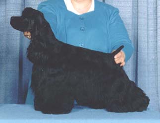 fanny2.jpg (15094 bytes)
