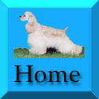 homebutton.jpg (12780 bytes)