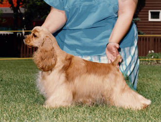 lucy2001.jpg (28574 bytes)