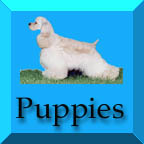 puppiesbutton.jpg (13051 bytes)