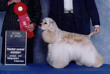 rosie2001a.jpg (23549 bytes)