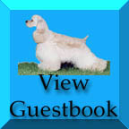 viewbutton.jpg (13741 bytes)