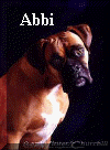 Abbi.jpg (7588 bytes)