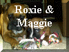 Roxie&Maggie.jpg (67212 bytes)
