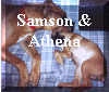 Samson&Athena.jpg (232852 bytes)