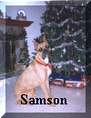 Samson.jpg (299112 bytes)