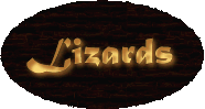 Lizards