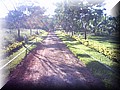 GILSON-31.jpg