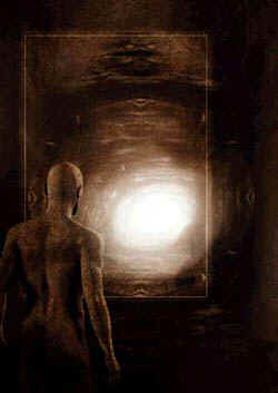 imagem17.gif