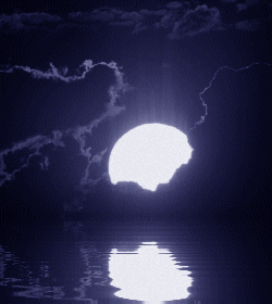 imagem4.gif