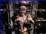 Iron Maiden