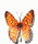 10.gif (3186 bytes)