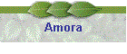 Amora
