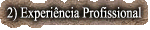 2) Experincia Profissional