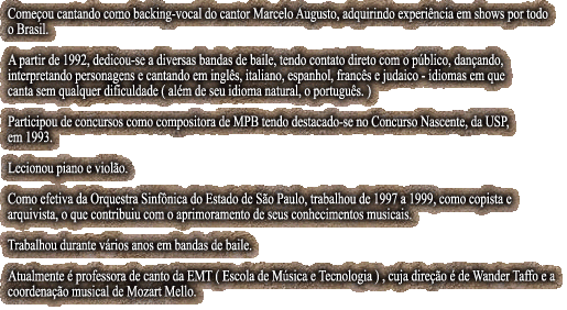 Experincia Profissional 
