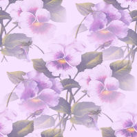 Backflorallilaz