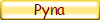 Pyna