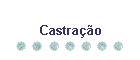 Castrao