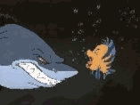 Anim6