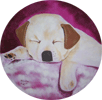 Cachorrinho - Acrílica sobre  tela.