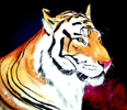 Tigre - Acrílica sobre  tela.