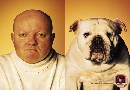 Se for se basear nessas fotos o ser humano  uma evolua do cachorro.