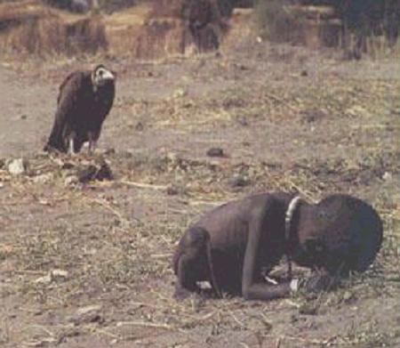 India - O abutre aguarda, enquanto a crian�a (uma menina) agoniza, morrendo de desnutri��o.