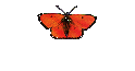 E mais ainda!