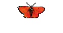 Mais humor!