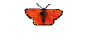 Meu amor